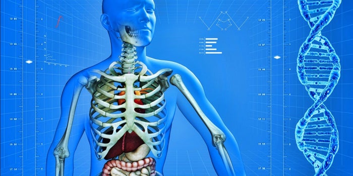 These Healthcare Data Companies Earn Millions by Making Employees Healthier, Saving Their Employers Boatloads of Money
