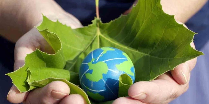 Top #5 Initiatives Indian Banks Are Taking To Save Mother Earth