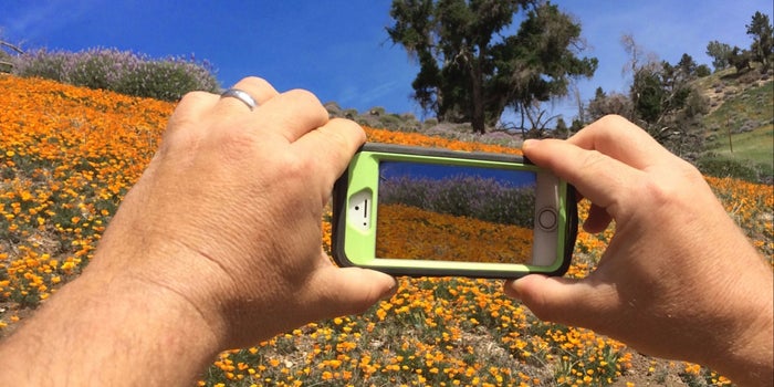 Google Has a New App That Turns Apple Live Photos Into GIFs -- Start Up Your Day Roundup