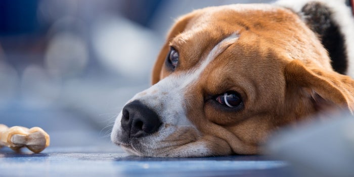 3 Ways to Offer a Sincere Apology to Clients