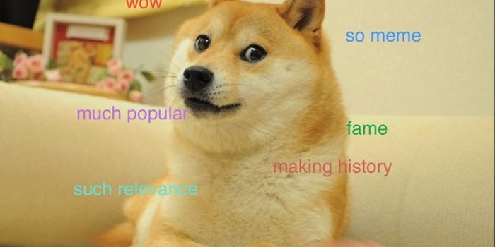 Some Non-Human Apps For Your Non-Human Friend