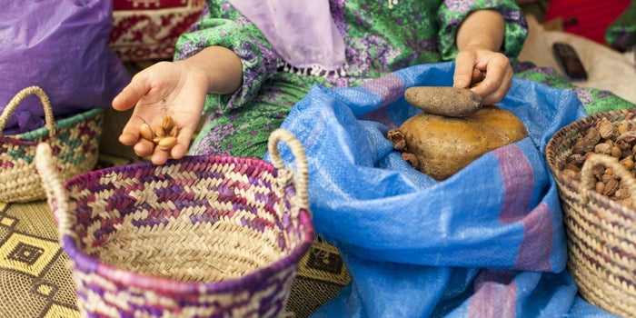 Challenges Aplenty, But Opportunities Exist Too: Morocco's Argan Oil Industry