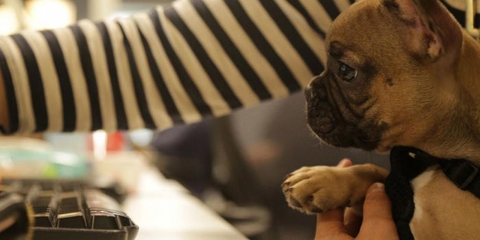 The Well-Being Perks You Never Thought to Offer