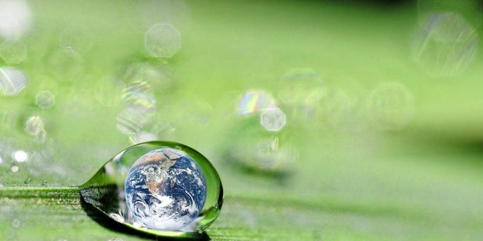 Banamex lanza convocatoria para emprendedores sustentables