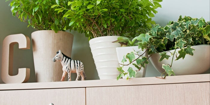 5 Ways to Improve Productivity By Breathing Easier