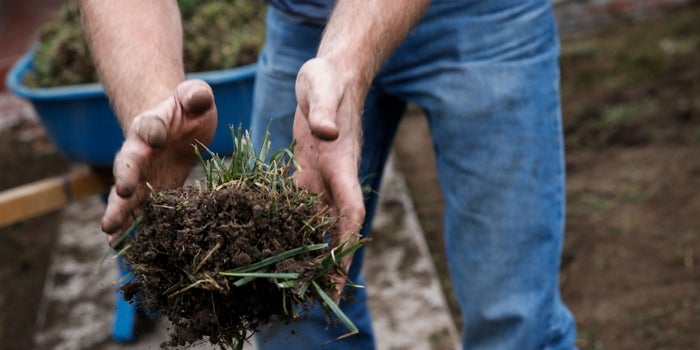 8 Effective Ways to Advertise Your Lawn Care or Landscaping Business