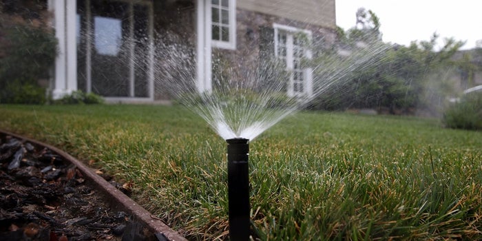 The Green Scene: Opportunities in the Lawn Care and Landscaping Industry