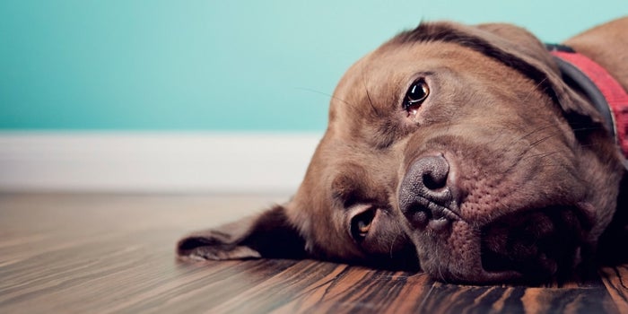 Why Marketing Is Not the Job for the Lazy