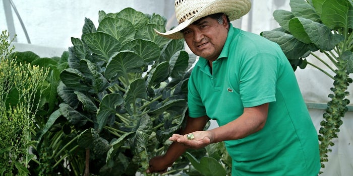 Emprendedores sociales al rescate del campo