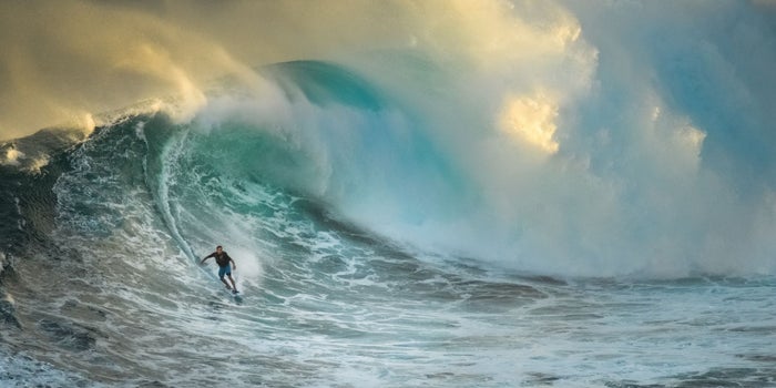 To Disrupt or Be Disrupted: What's Your Choice?