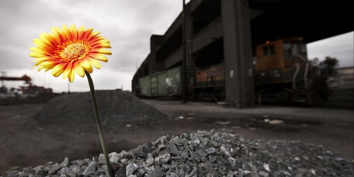 6 Essential Components of a Solid Growth Strategy