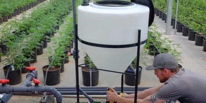 How to Grow a Cannabis Farming Business in the Blazing Marijuana Economy