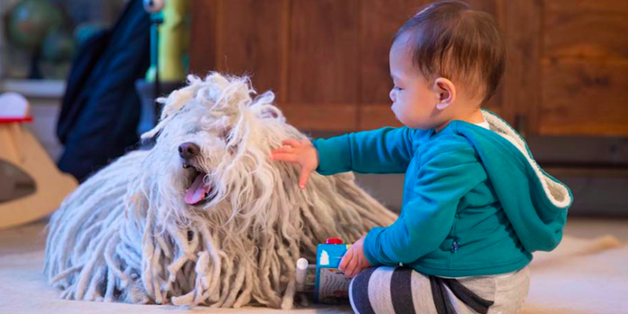 Can We All Just Ooh and Aah for a Minute Over This Cute Pic of Mark Zuckerberg's Daughter?