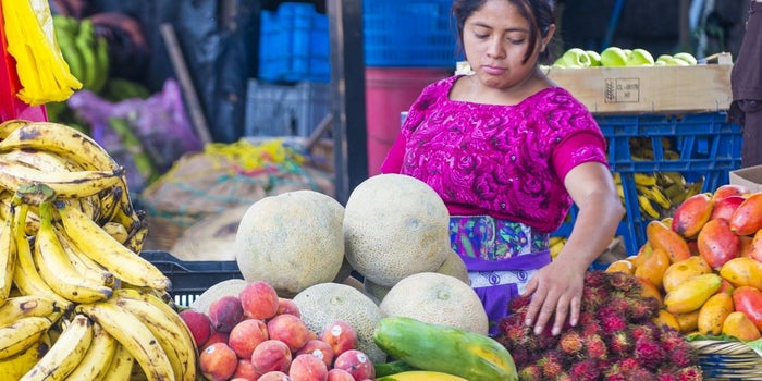 La industria gastronómica, un negocio con hambre de éxito