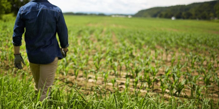 What the American Farm Can Teach Business Leaders About 'Sowing' Success