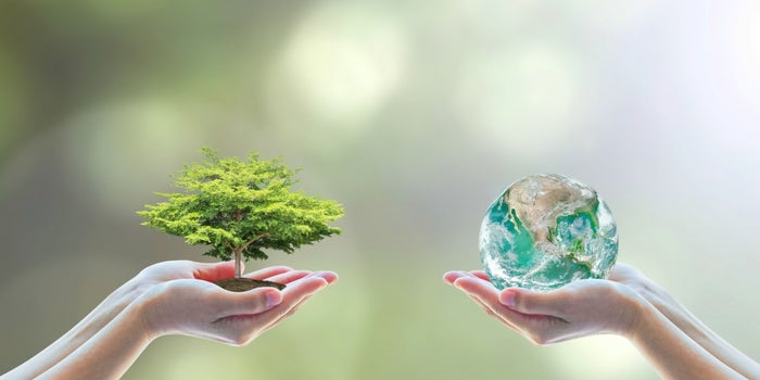 High-level Participation Points to a Bright Future for Social Entrepreneurship in India