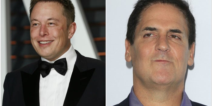 Por qué Elon Musk y Mark Cuban no votaron por Trump
