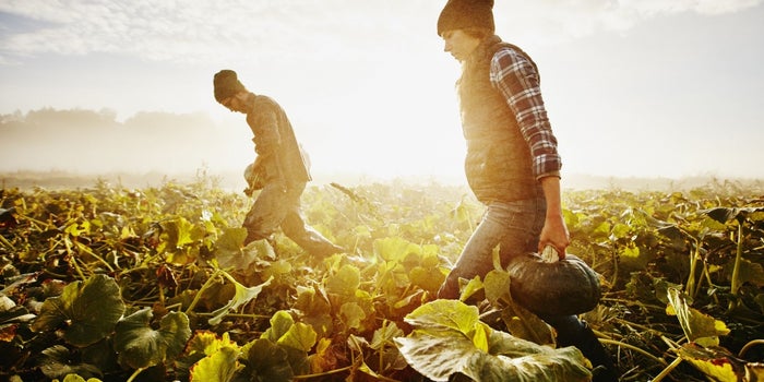 Hunter? Farmer? Your Natural Mindset Helps Determine How Many Deals You Close.