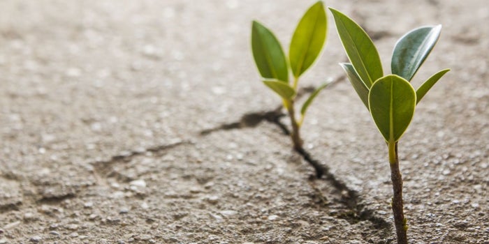 Las 3 cosas que solo los emprendedores de verdad tienen