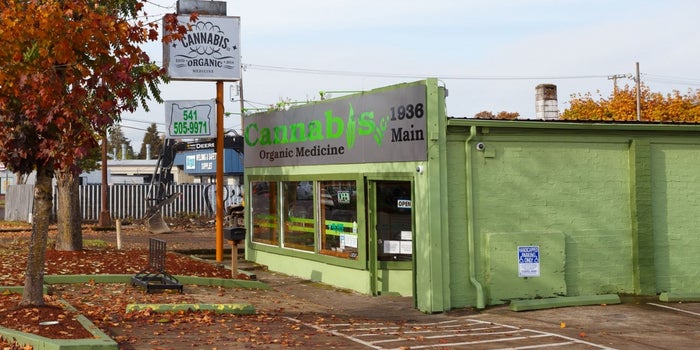 Study Finds Most Investors Comfortable With Businesses That 'Touch' Marijuana