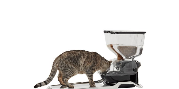4 'Smart' Objects That Have Earned the Name