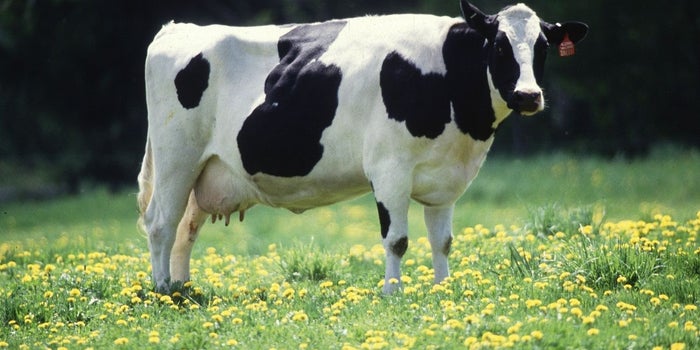 5 Entrepreneurs Who are Changing Milk Drinking in India