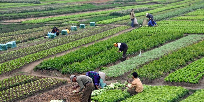 These #3 Agri-Commerce Startups Are Helping Farmers Promote Online Payments