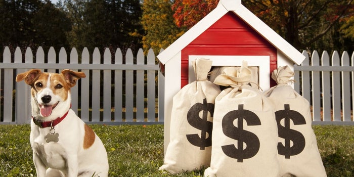 The 10 Hottest Franchise Business Categories