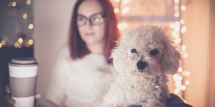 5 Ways to Keep Working and Still Have a Life During the Holidays