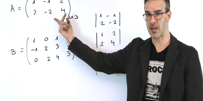 El youtuber que va por Nobel de educación 2016 por sus clases de matemáticas