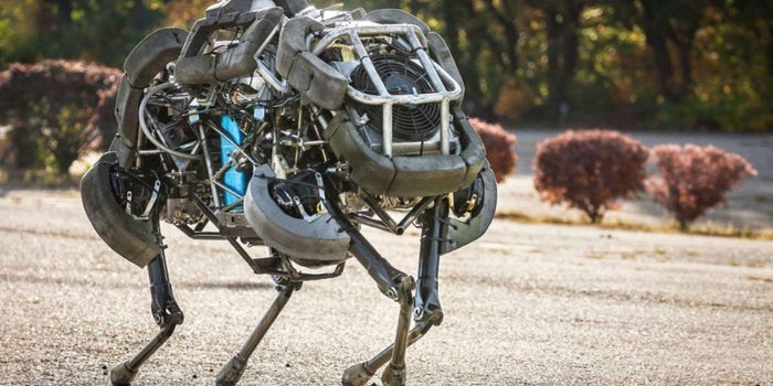 Crean perros robot que sustituirán a repartidores y trabajadores del hogar