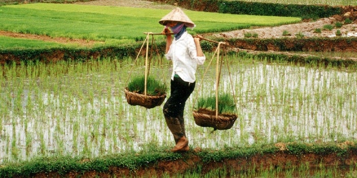 Trends That Will Drive Agri-Tech Sector in 2017