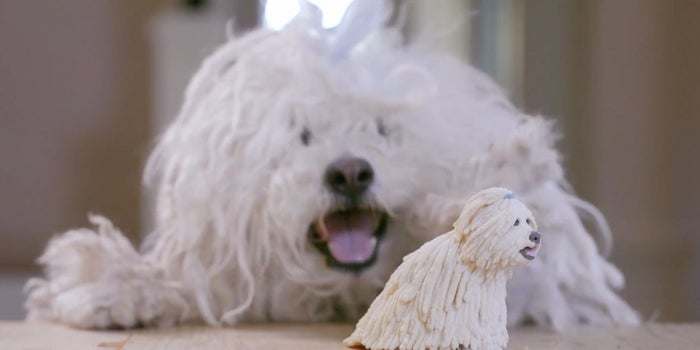 Watch Mark Zuckerberg 3-D-Print a Mini Version of His Dog