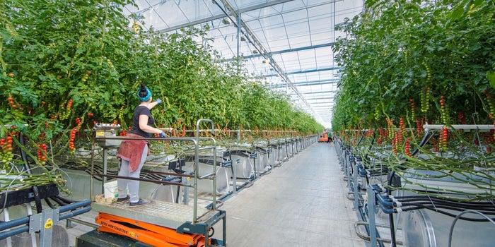 Pure Harvest Aims To Overcome Local Climate Challenges And Make Farming High Tech