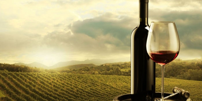 ¡Los eventos imprescindibles para los amantes del vino de 2017!