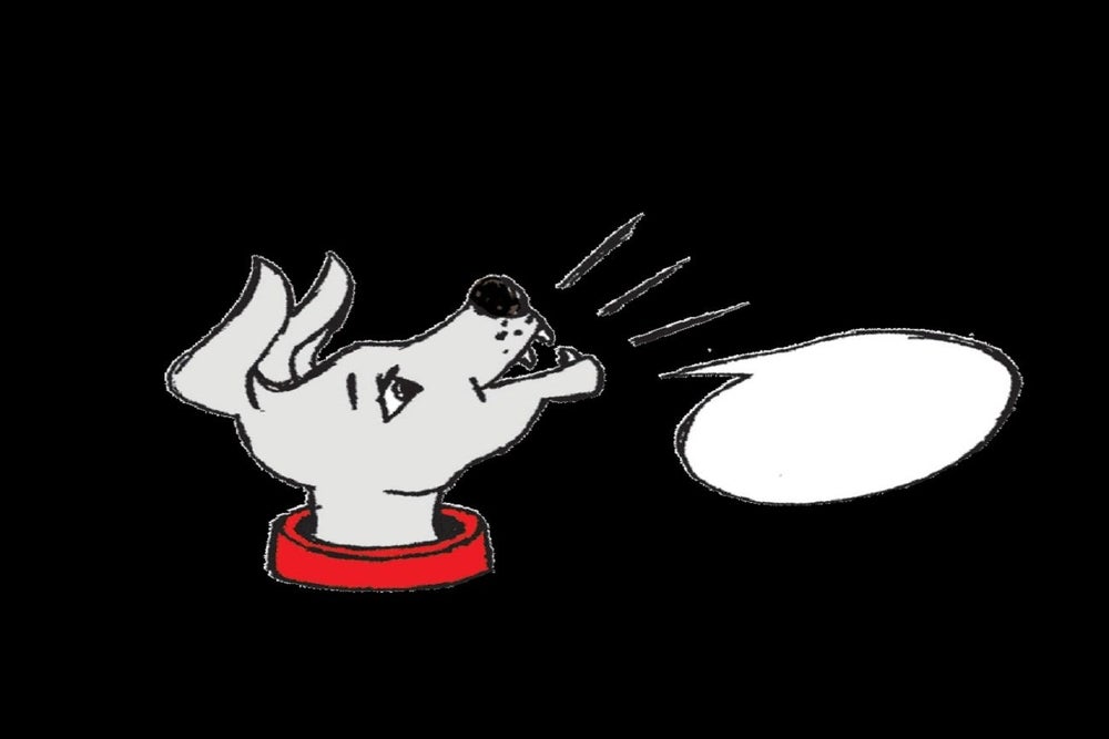 Woof Woof!