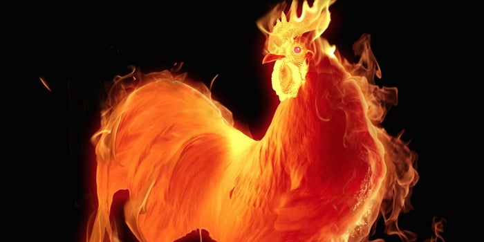 Take Your Inspiration for Success From the Fire Rooster