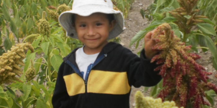 La emprendedora de amaranto que combate la desnutrición