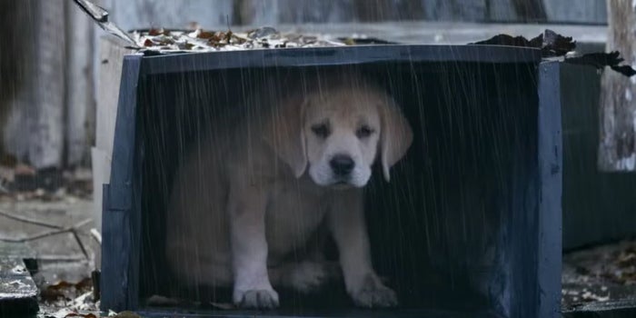 Putting the Super Bowl's $5 Million Ads Under the Microscope