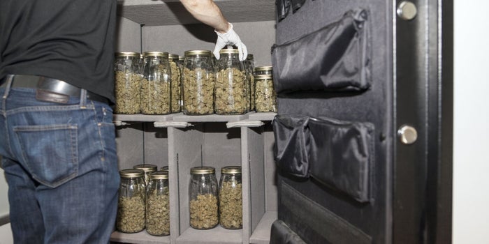 Cannabis Stock Index Grew 236% In 2016