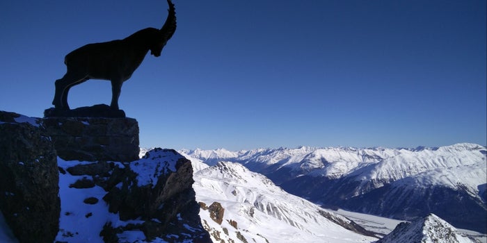 Why Every Entrepreneur Should Attend Davos