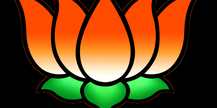 Lotus Blooms in India's Largest State for the 1st Time Since 2003