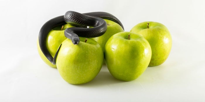 7 pecados al emprender