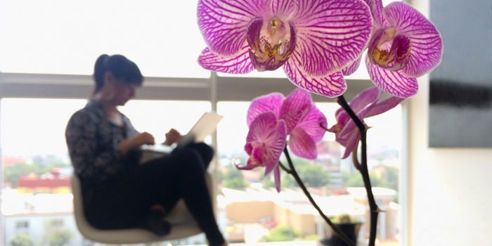 Lessons on Helping People Bloom Learned In the Greenhouse