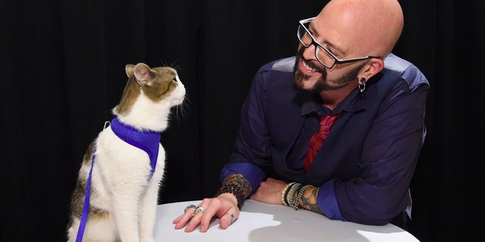 'Catpreneurs' Unite at New York's First 'Cat Camp' Symposium