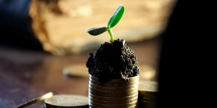 Top 5 Principles to Help Businesses Grow in Shortest Time Period