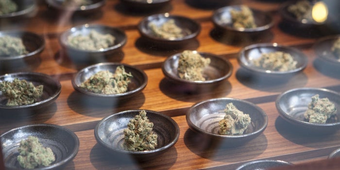 Legal Marijuana a 'Powerful Force' in Oregon Economy