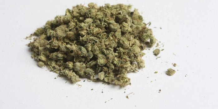 Can Marijuana Replace Lost Steel Jobs? Pennsylvania Town Has High Hopes.