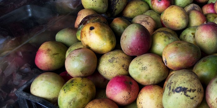 What You Can Learn About Business From a Mango Vendor in Fiji