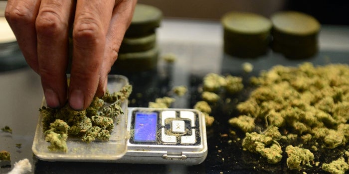Oxford University Researchers to Explore the Potential Benefits of Medical Marijuana